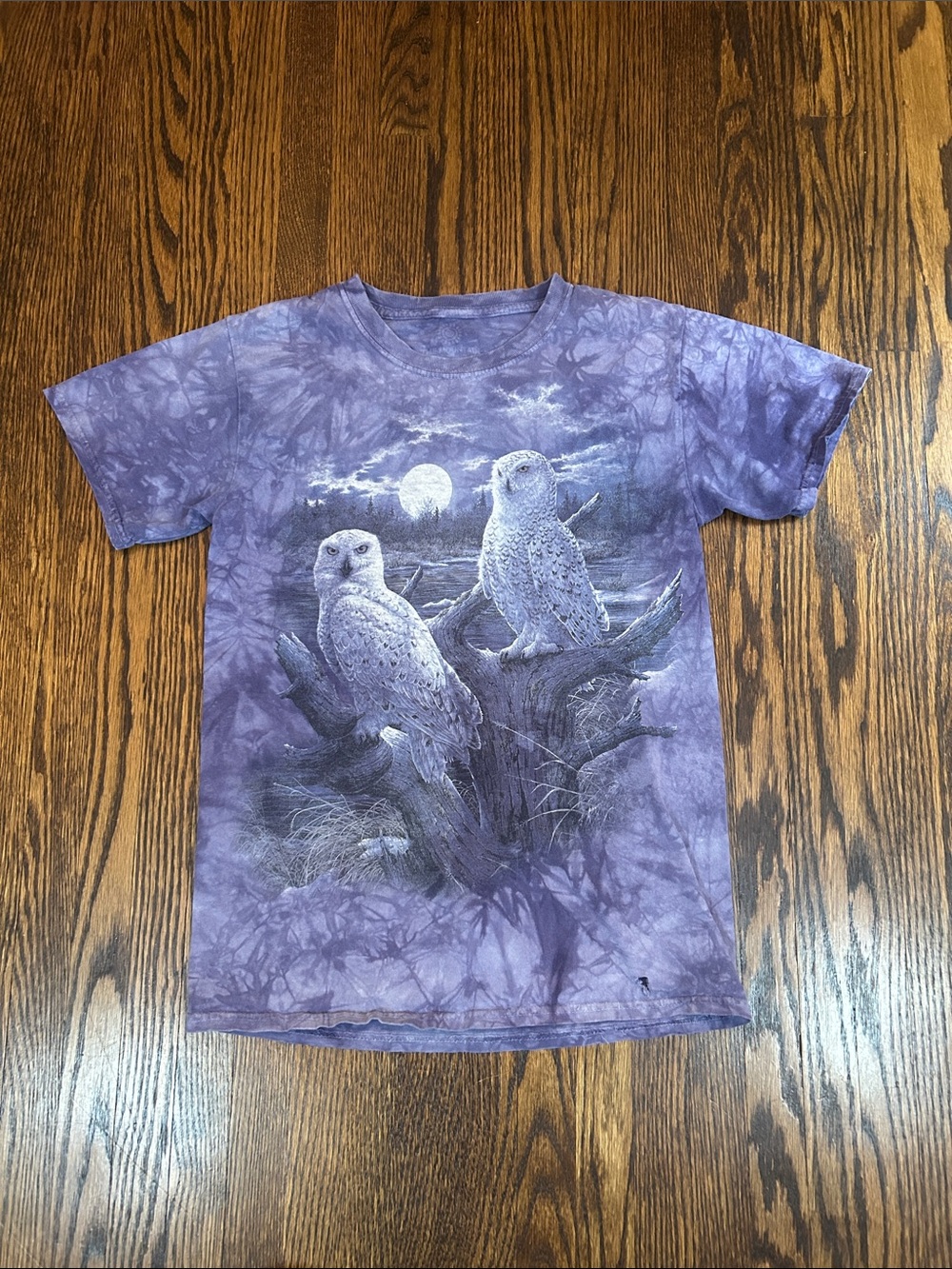 The Mountain Tie Dye Owl T-Shirt